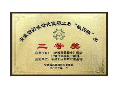 儋州荣获2025“徽园杯”奖三等奖