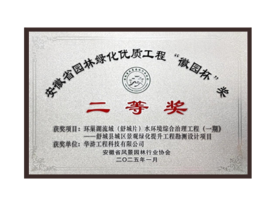儋州荣获2025“徽园杯”奖二等奖